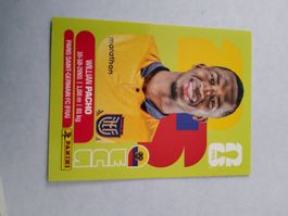 Panini Fussball ECU 6