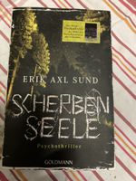 Psychothriller "Scherben Seele" von Erik Axl Sund