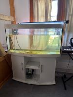 Aquarium Vison mit Unterschrank weiss 260 Liter 