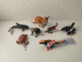 Schleich Neu Australien Set Wild Life Kängero Koala Delfin