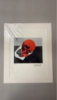 Andy Warhol Totenkopf Druck Grösse 28x35cm neuwertig