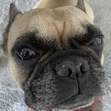 Profile image of tonyskl83