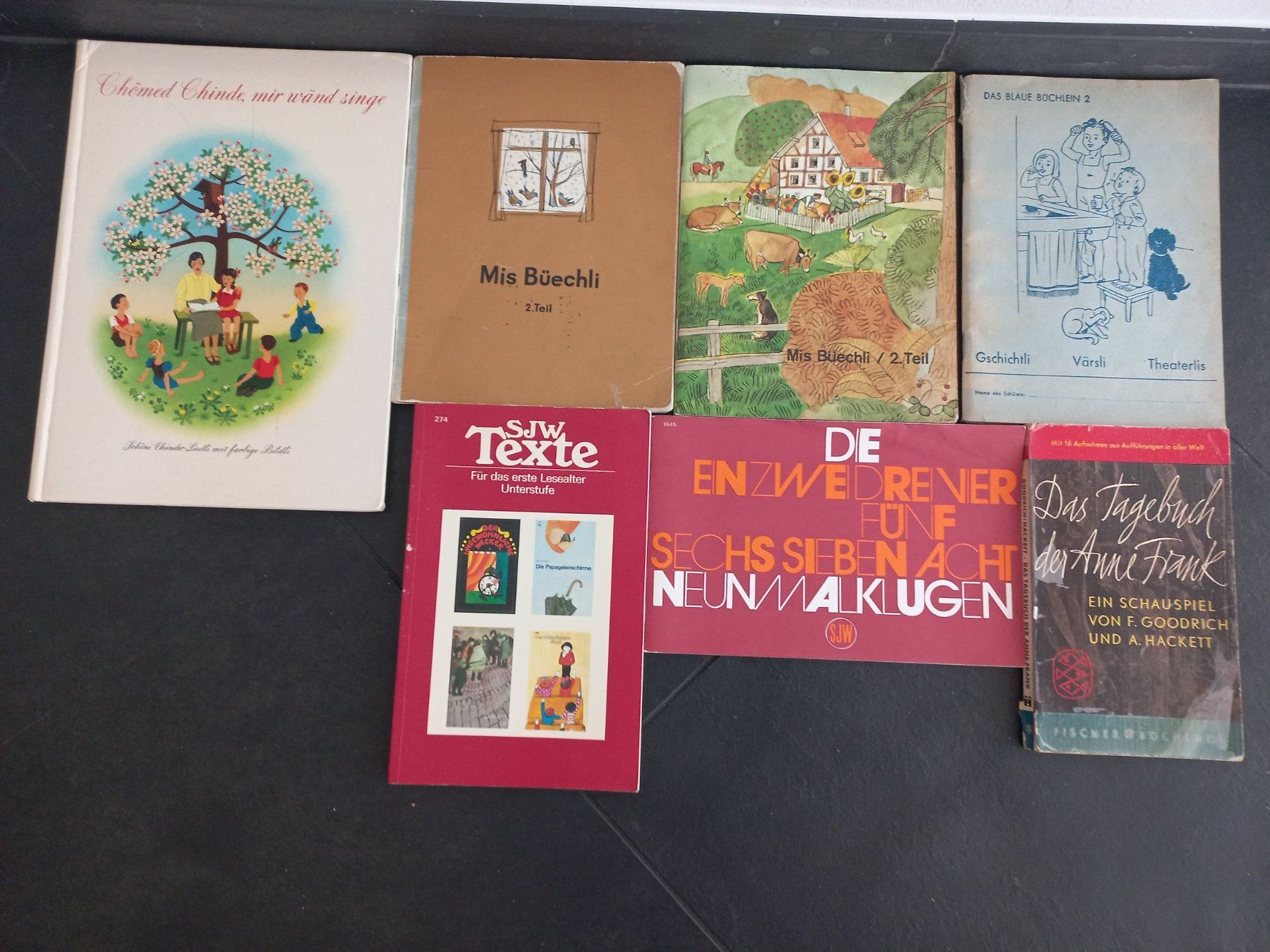 Libri: Kinderlieder und diverse Bücher – Usato da Rüthi (Rheintal) venduto da topseller2026