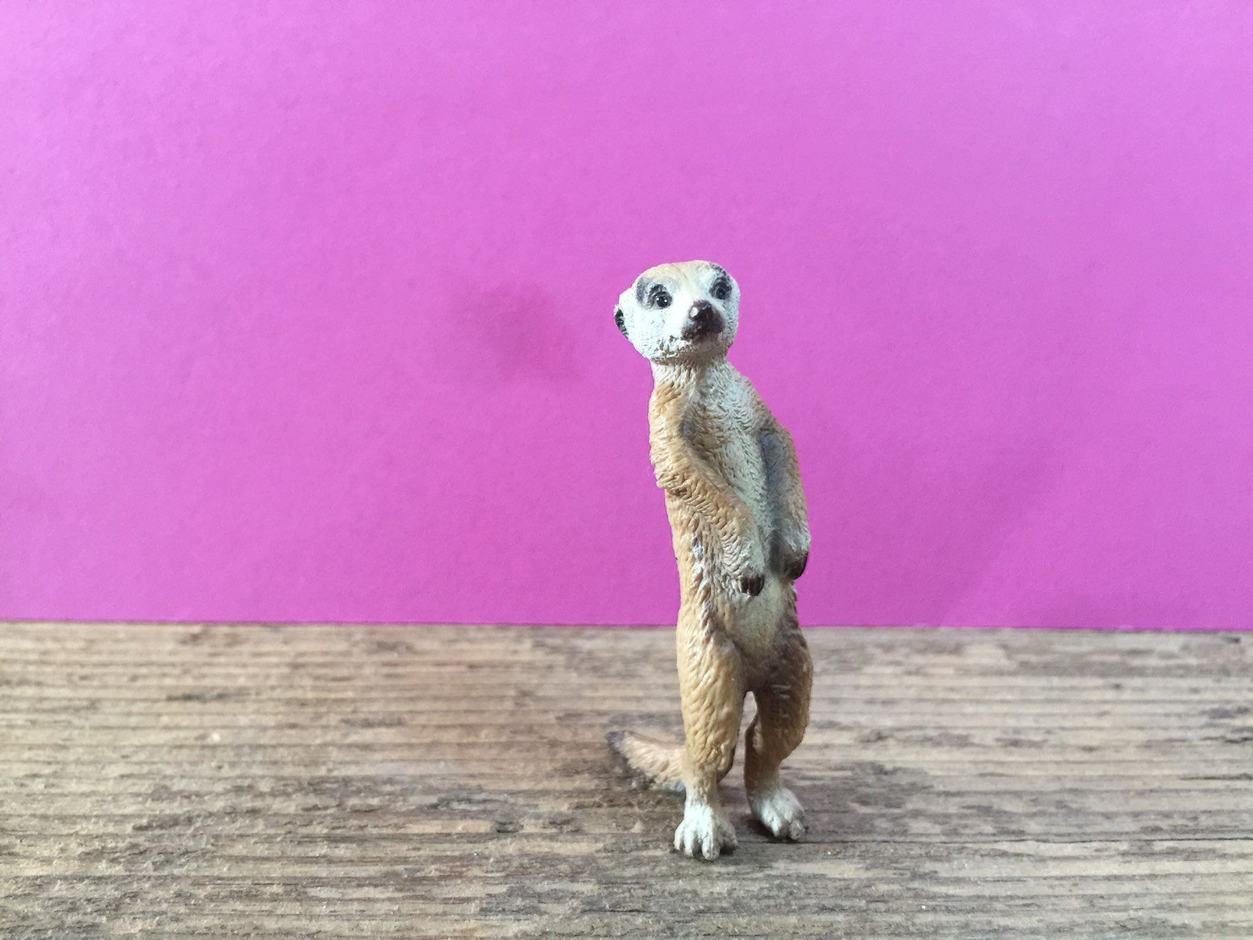 Schleich Figuren: Erdmännchen von Schleich - Raritäten – Gebraucht aus Ennetbaden von mapa05 3
