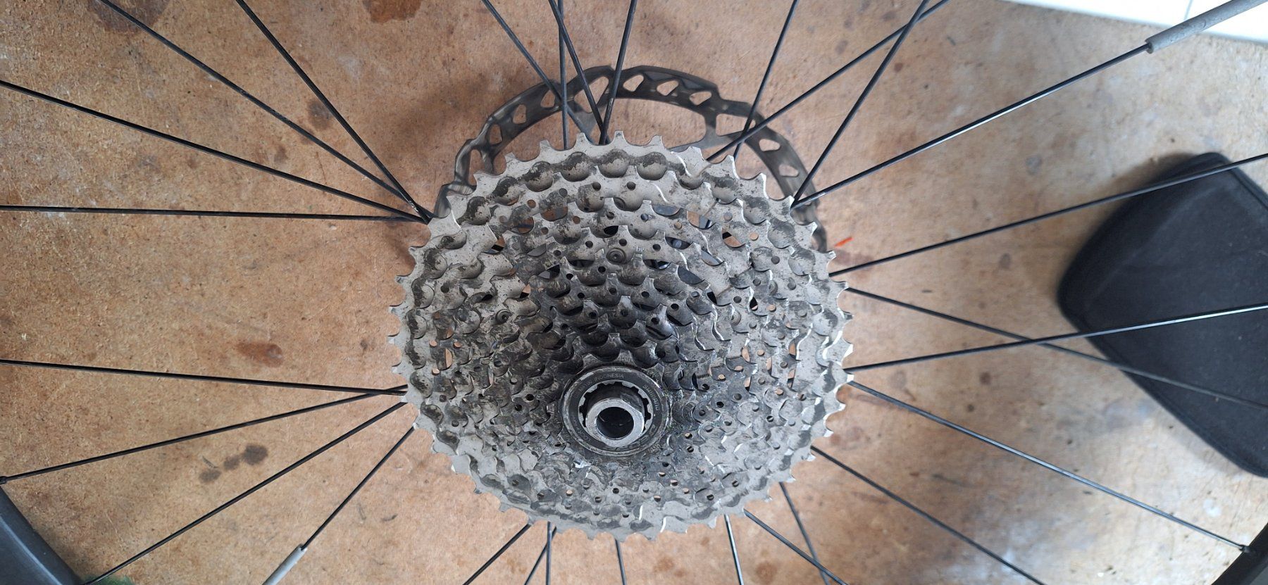 Specialized Pneumatici & Ruote complete: Hinterrad Stout  XC SL 29 Zoll – Usato da Bretzwil venduto da Godi0 1