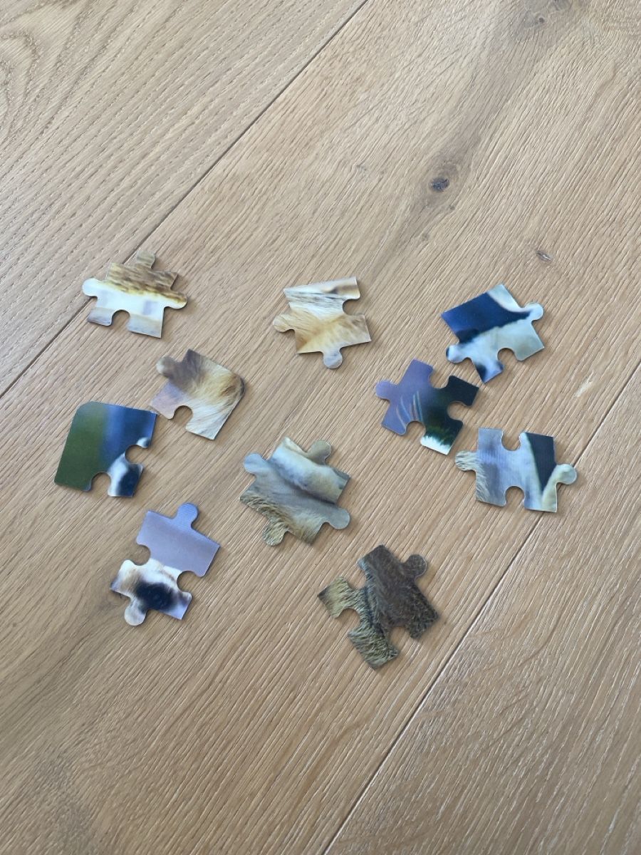 Puzzle: 3D-Puzzle mit wechselndem Bild – Usato da Sigriswil venduto da kahos10 2