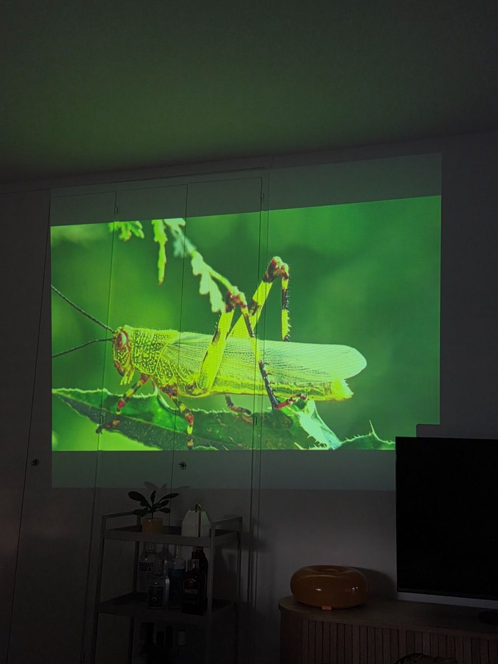 Nec Videoprojektoren: Beamer NEC VT560 LCD – Gebraucht aus Ostermundigen von jer_5qfg 7