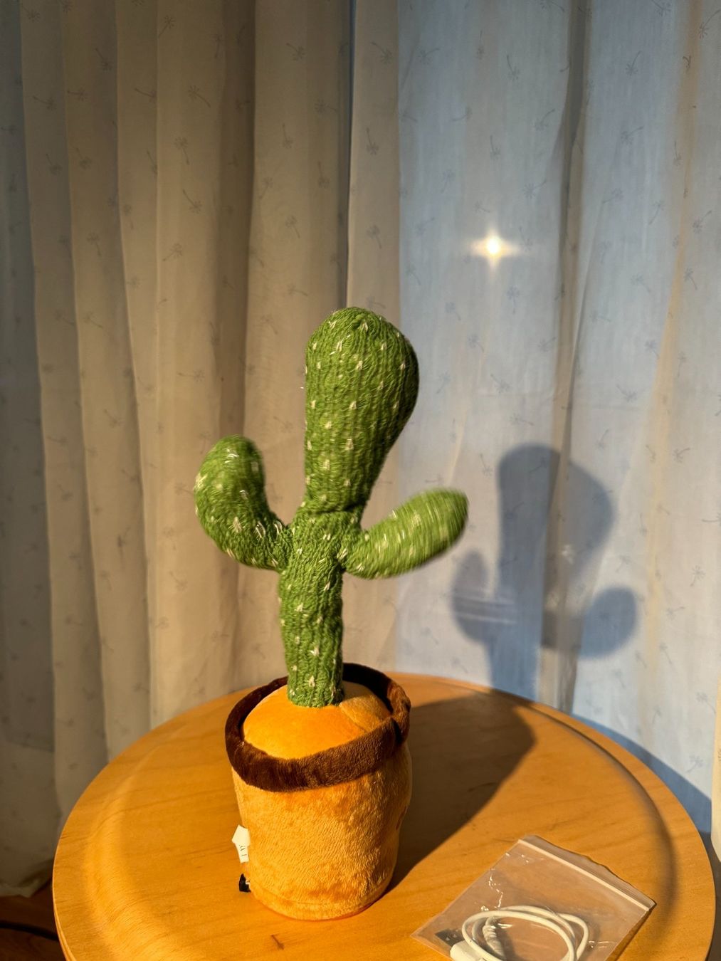 Sprechende/Singende Kaktus Figur (Gebraucht) in Rapperswil SG fr CHF 15   mit Lieferung auf Ricardo kaufen
