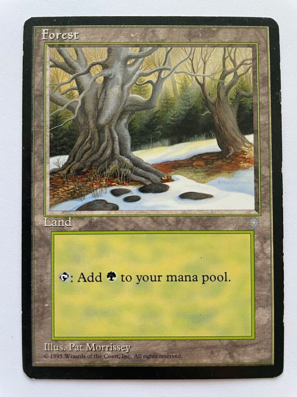 Cartoline: MTG - Forest – Usato da Zürich venduto da T_H_O_M_A_S
