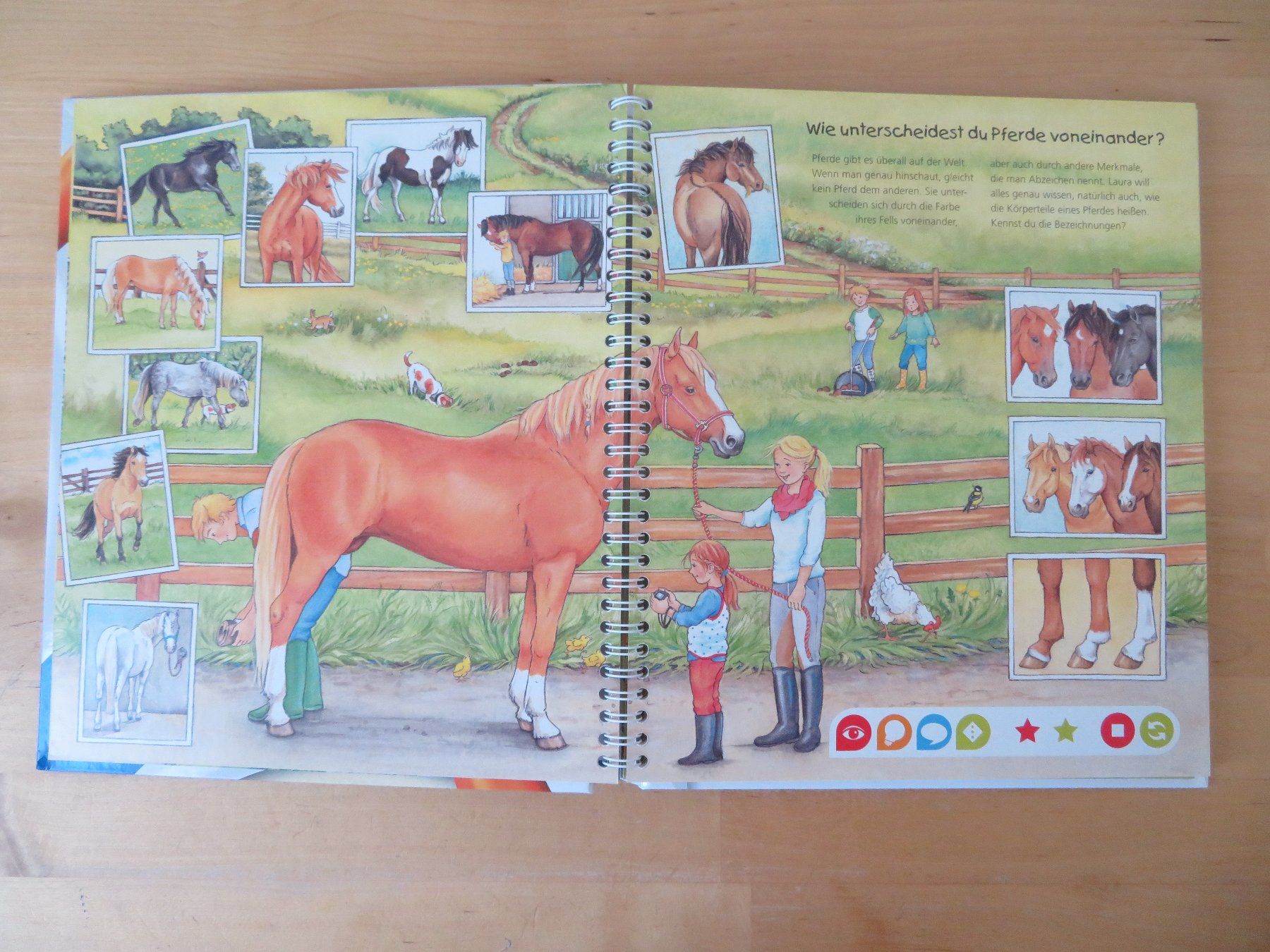 Libri: TIP TOI Buch "Pferde und Ponys" – Usato da Zürich venduto da piroma 1