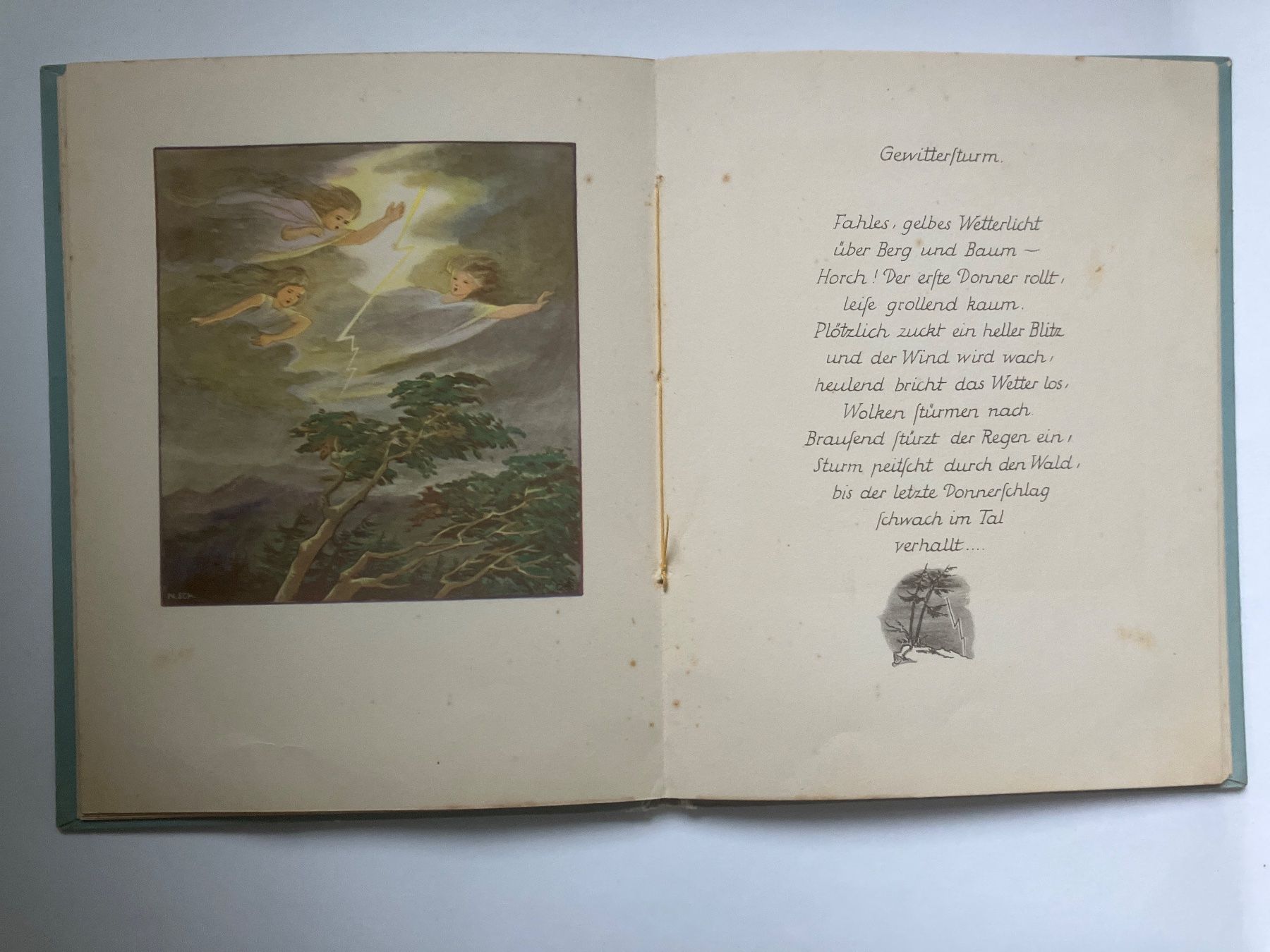 Libri: Wolkenkinder Nora Scholly – Usato da ZUERICH venduto da Carolus1 6