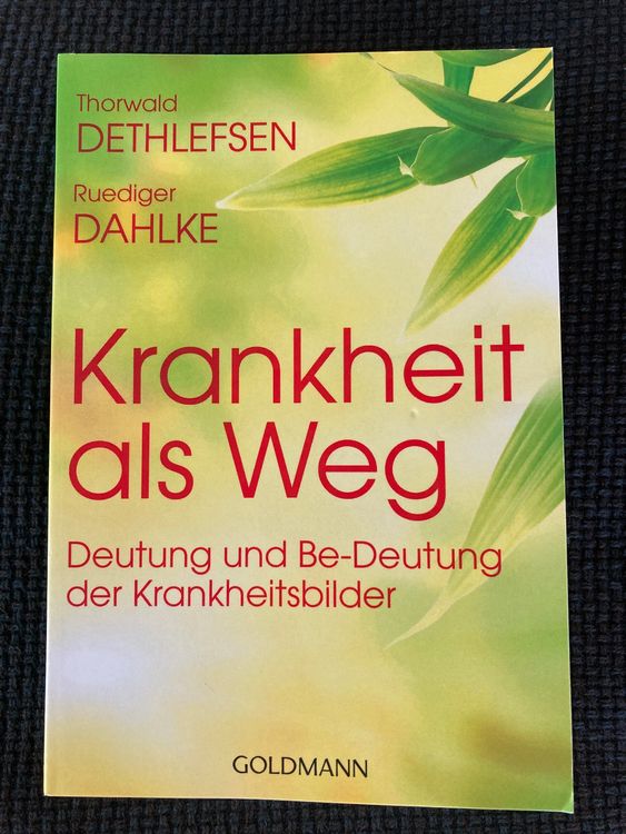Thorwald Dethlefsen/Ruediger Dahlke, Krankheit als Weg Kaufen auf Ricardo
