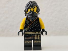 Lego Ninjago Cole Legacy /Vermächtnis njo575 Ein Neustart