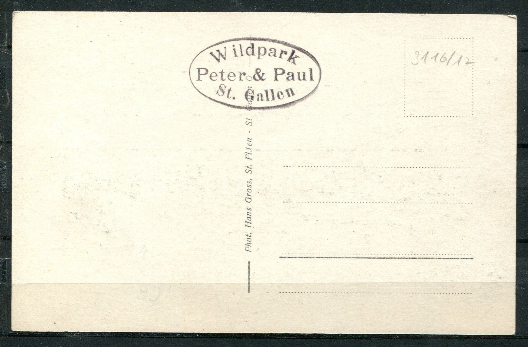 Cartoline postali: Wildpark Peter & Paul  St. Gallen  Blick auf den Bodensee – Usato da Aarau venduto da kufi44 1