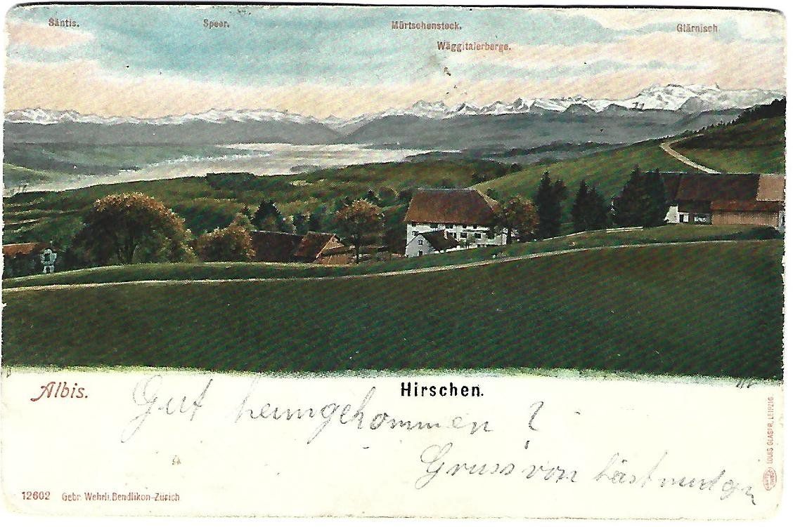 Cartoline postali: Albis  Hirschen  Dorfansicht – Usato da Wetzikon ZH venduto da Brulu100
