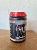 Gustav Optenplatz Premium Hufbalsam Neu