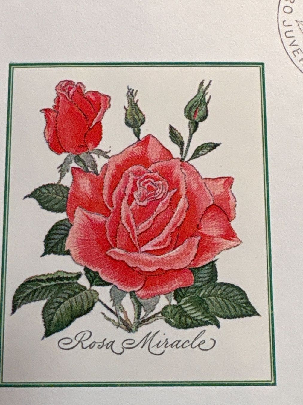Tutti i francobolli: **Pro Juventute 1972 Ersttag Briefmarken** – Usato da Ibach venduto da lisch3 3