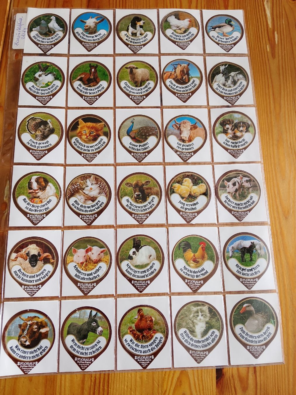 Floralp Kaffeerahmdeckel: Kaffeerahmdeckeli – Neu (gemäss Beschreibung) aus Volken von katz5 8