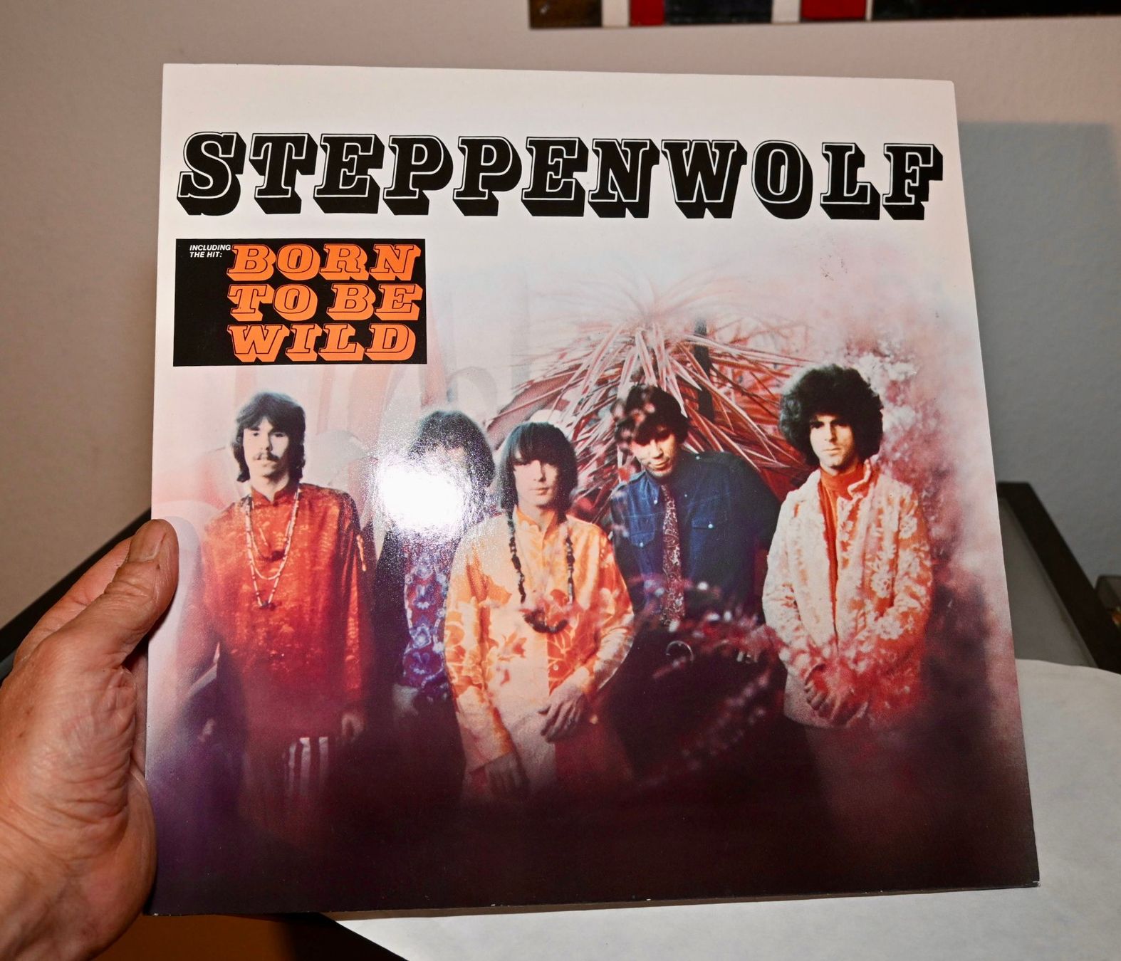 Dischi in vinile: Steppenwolf SAME repress LP EX- / MINT- sehr guter zustand – Usato da Pfaffhausen venduto da mono_rec 3