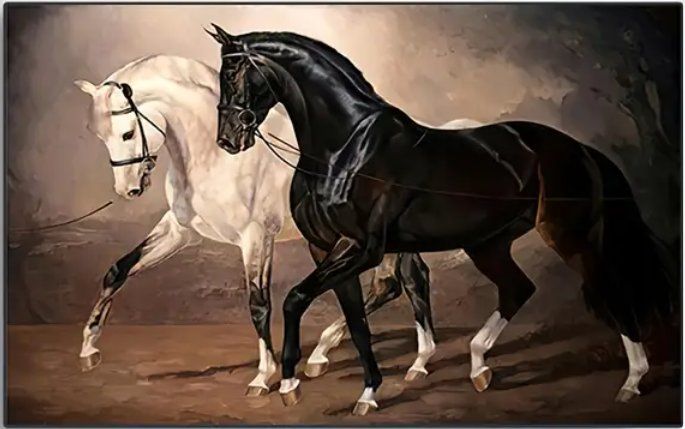 Poster & Bilder: Poster affiche Impression Cheval noir et blanc chevaux – Neu und originalverpackt aus Meyrin von Nostalgica 1