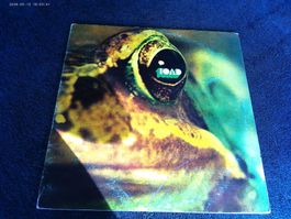 Toad Vinyl LP 1971 Erstpressung SWISS Seltenes Sammlerstuck