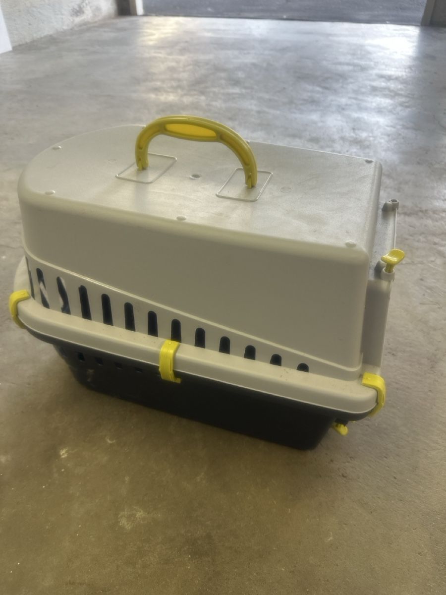 Gabbie, trasporto & Sicurezza: Tiertransportbox aus Kunststoff – Usato da Dielsdorf venduto da Luigi1989 1