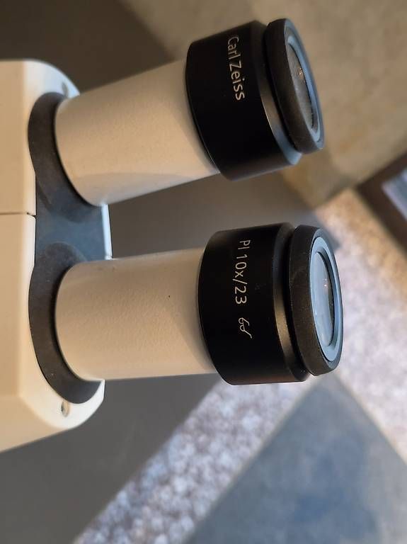Zeiss Microscopi: Zeiss Stemi 305 Mikroskop mit – Usato da Luzern venduto da Cookie.Monster 2