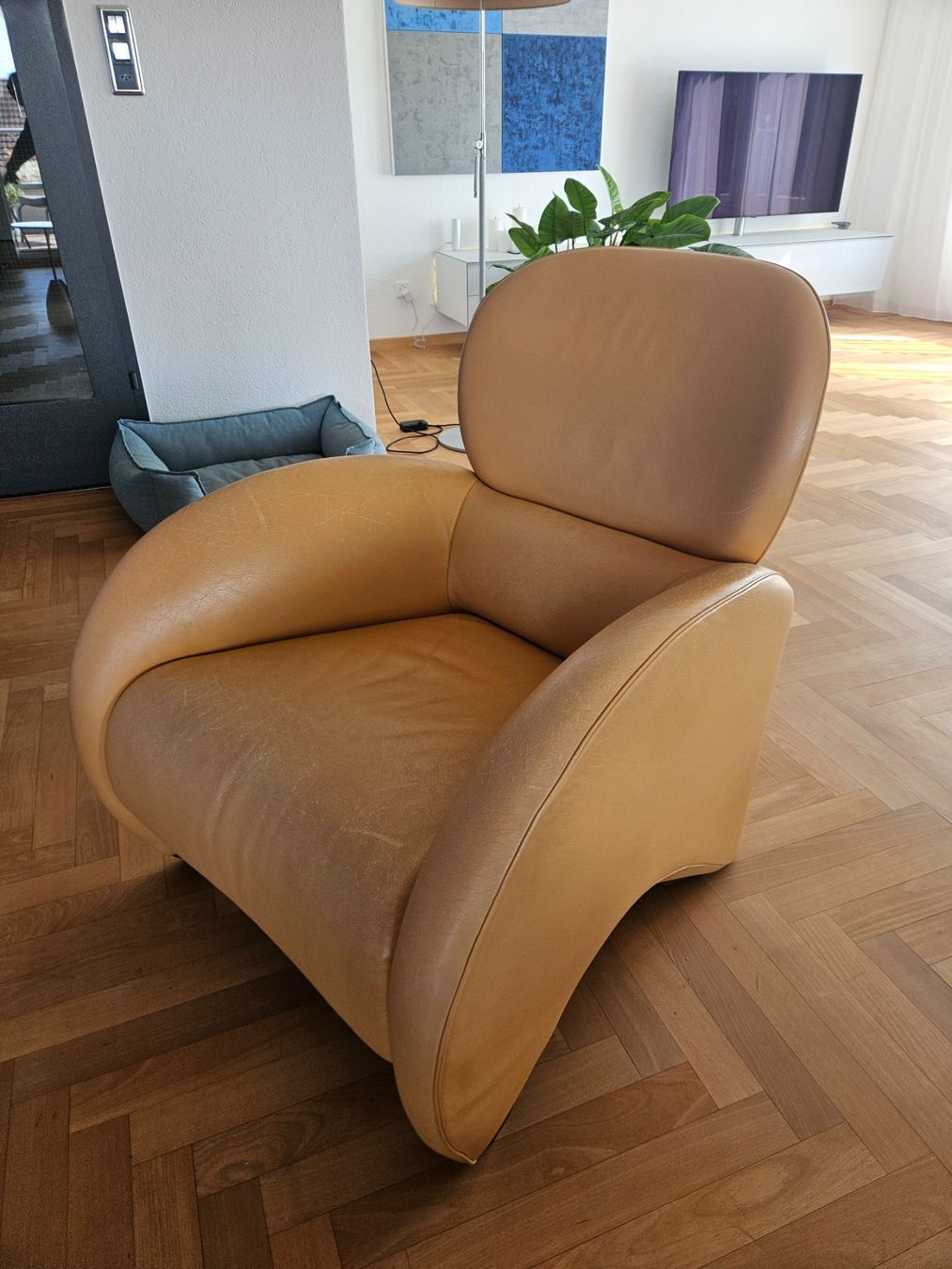 Poltrone: Ledersessel – Usato da Hausen am Albis venduto da m.mue13