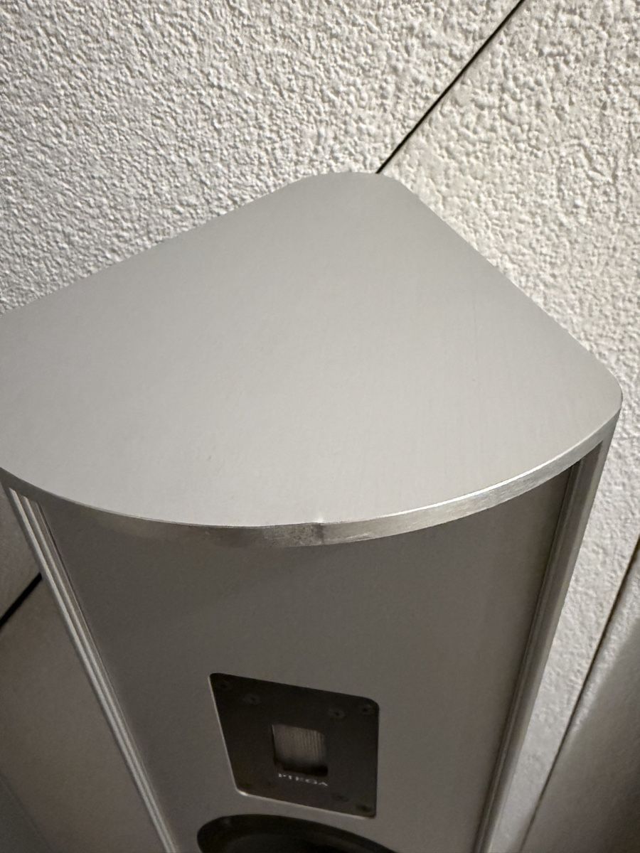 Piega Haut-parleurs: Piega P4 XL mit powerlink Eingang  – D'occasion à Rheinfelden par CollectorChoice 1