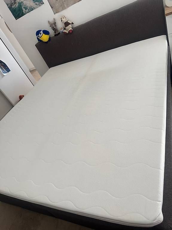 Letti: Boxspringbett – Usato da Rupperswil venduto da chliini91 1