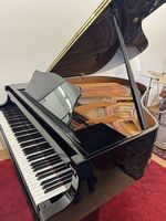 Flügel Yamaha GP1 