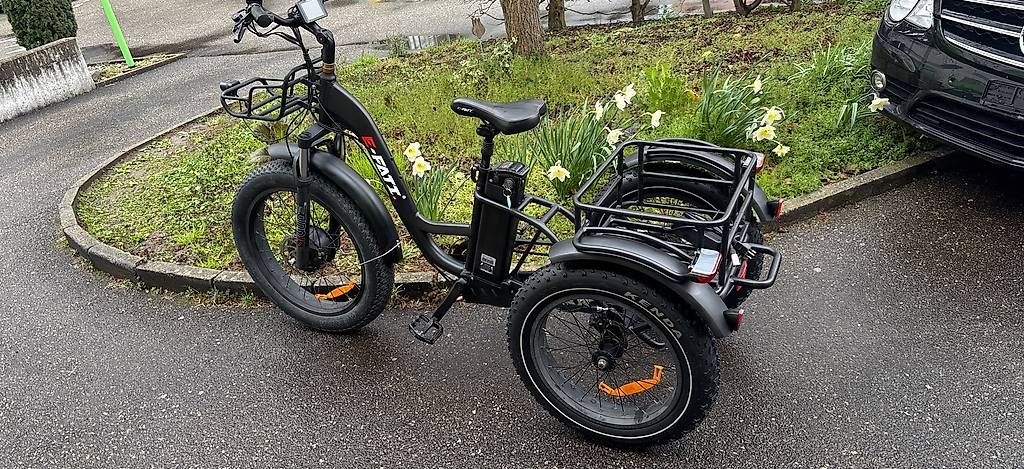 Elektromobile: Elektro Trickle – Gebraucht aus Lyssach von Hoferbike