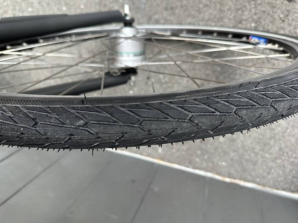 Velos: Bicicletta elettrica Raleigh 28  – Gebraucht aus Quartino von DiloUsato 8