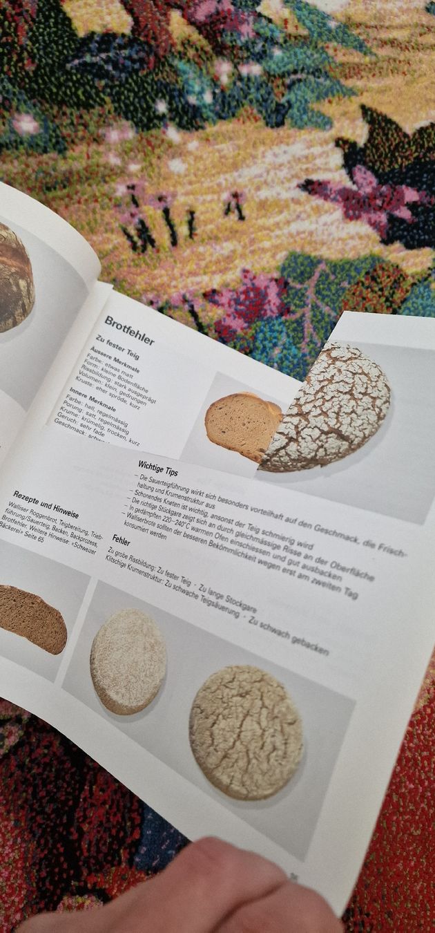 Bücher: Buch das ideale Gebäck – Defekt aus Romanshorn von JessiO 3