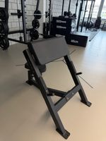 Biceps Curl