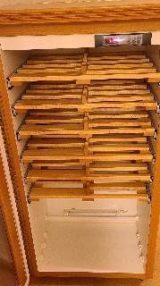Frigoriferi: Weinkühlschrank Holz – Usato da Solothurn venduto da pauline96 2