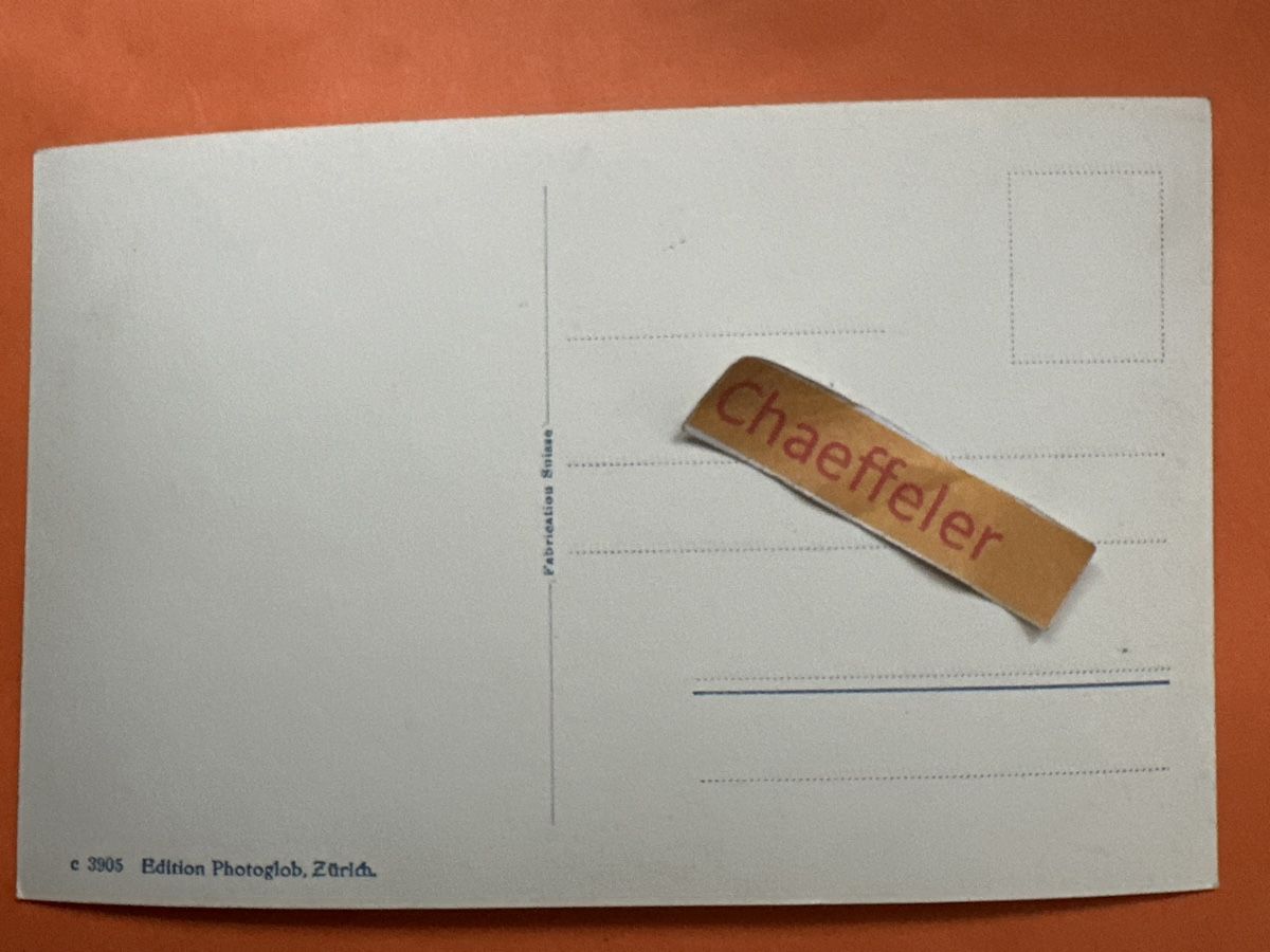 Cartoline postali: Berglisüber in der Fätschbachschlucht. – Usato da Zürich venduto da Chaeffeler 1