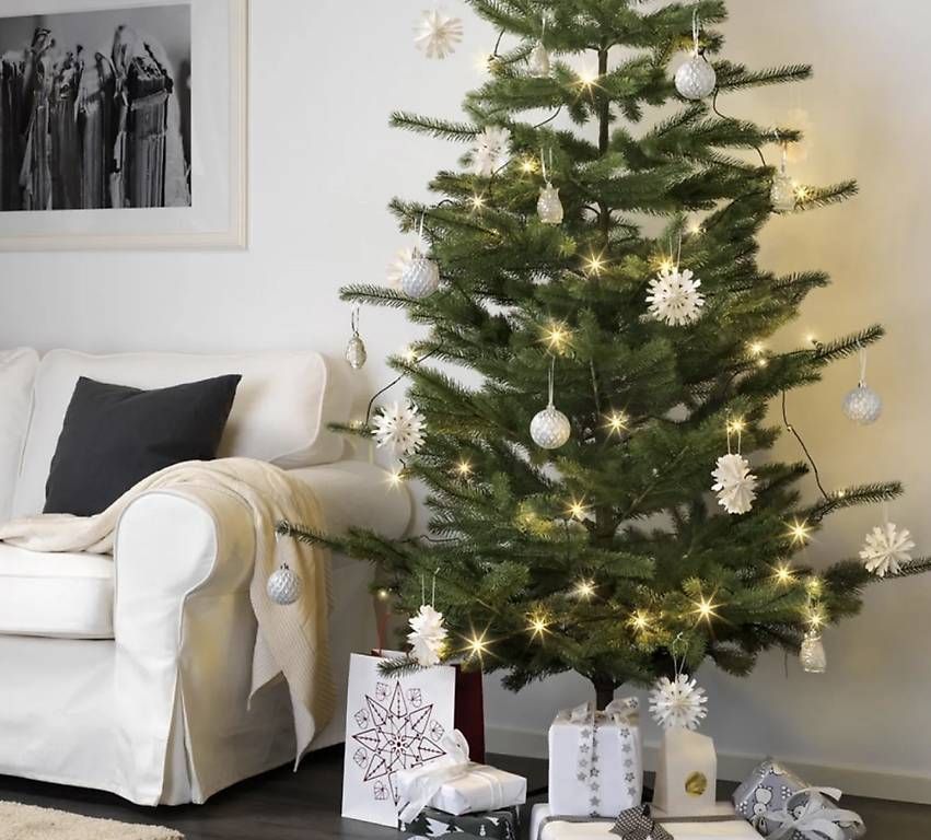Tutte le decorazioni: Albero di Natale – Usato da Bellinzona venduto da SammlerTI