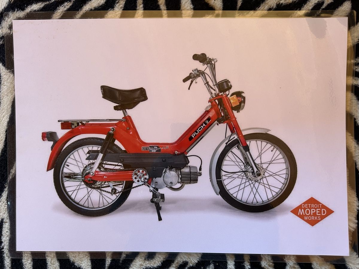 Foto & Immagini: Puch maxi s töffli mofa – Nuovo (secondo la descrizione) da Reinach AG venduto da rares75