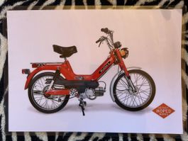 Puch maxi s töffli mofa