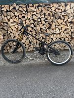Pivot Phoenix Saint Pro 2026