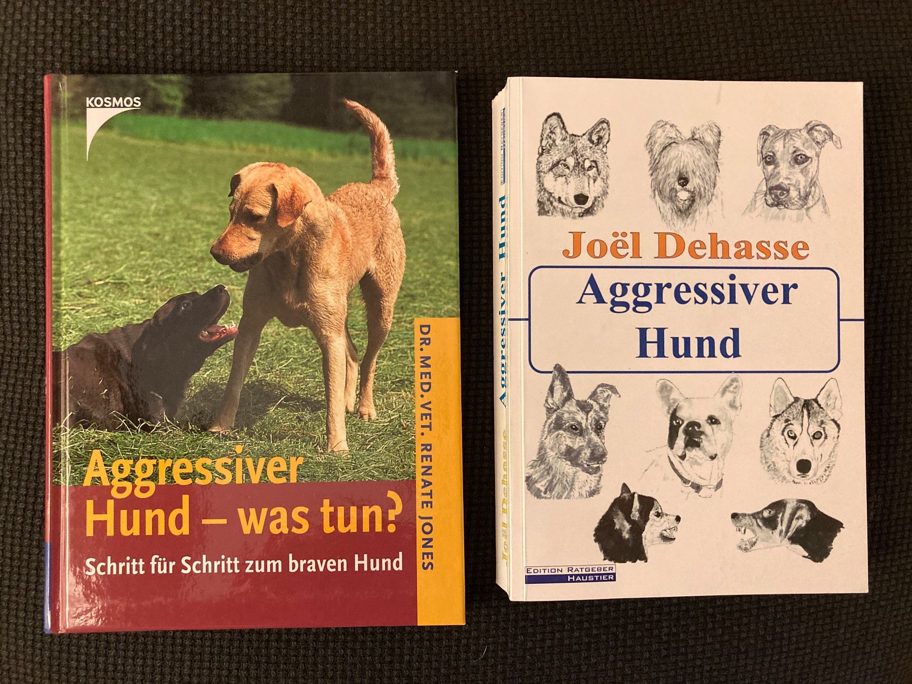 Libri: Aggressiver Hund - was tun? Zwei Ratgeber – Usato da Baden venduto da Yoyo1