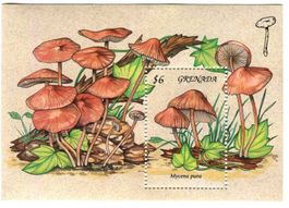 Block "Pilze". Grenada