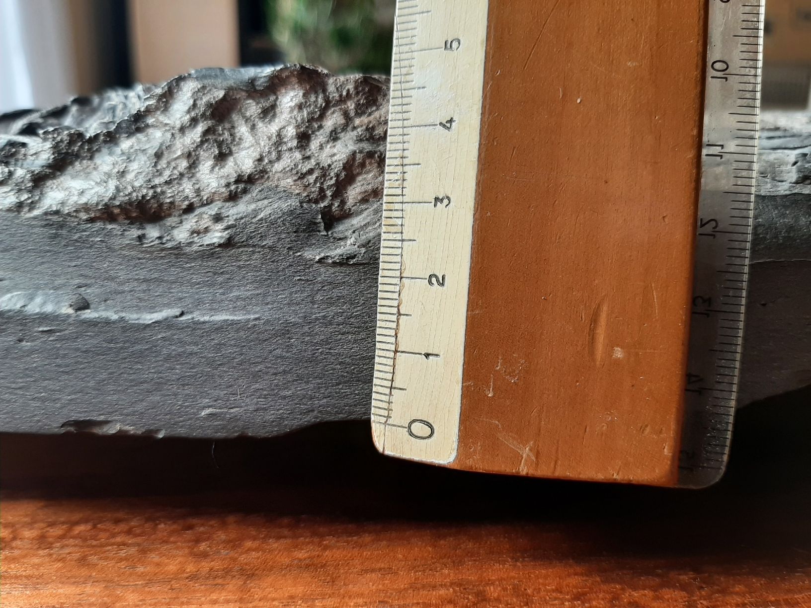Fossili: Ichthyosaurier Wirbelsäulenstück und Rippen – Usato da Rickenbach BL venduto da Oktober68 5