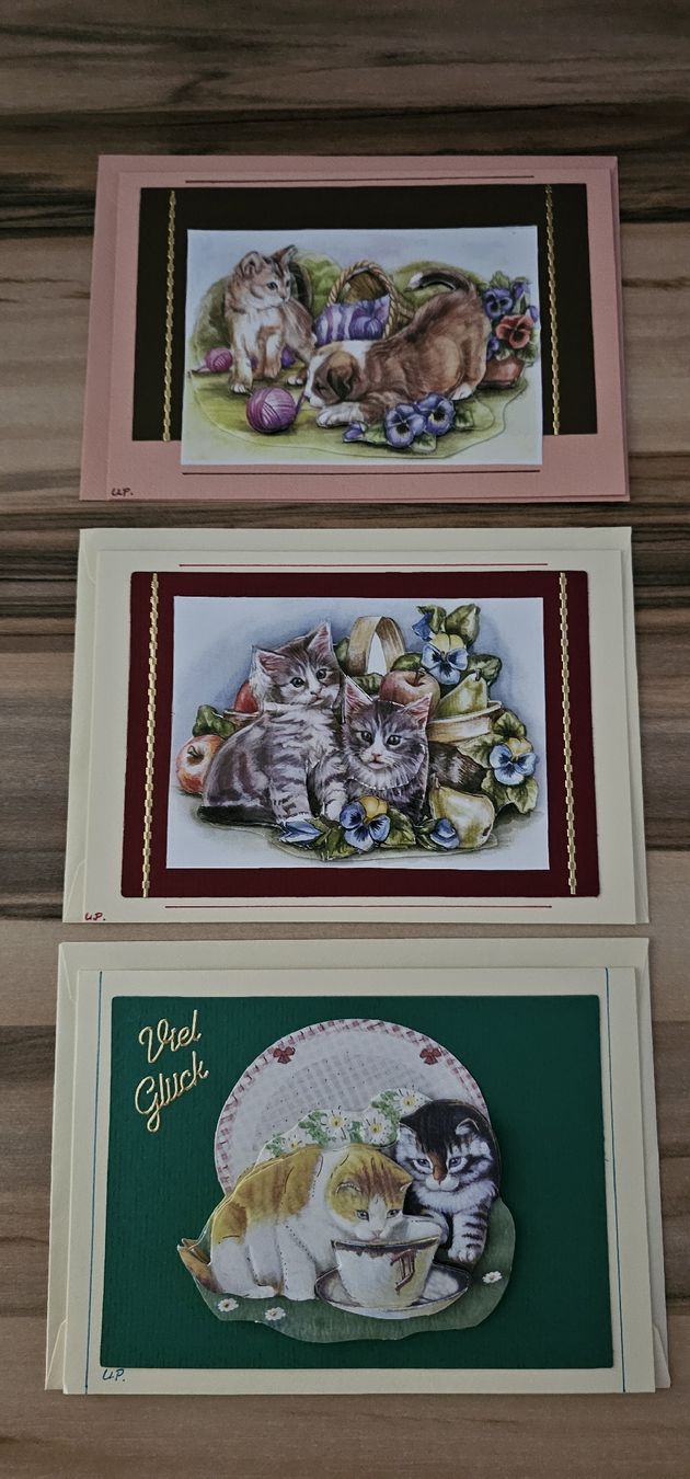 Cartoline: 3× 3D- Karten mit Couvert" Katzen"/ Neu – Nuovo (secondo la descrizione) da Geuensee venduto da JeMaUrPe
