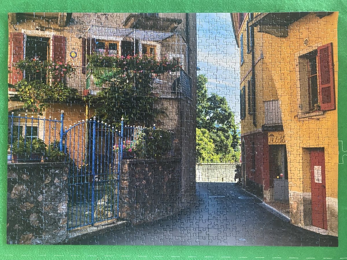 Ravensburger Puzzles: Puzzle 1000 Teile – Gebraucht aus Malters von Lila-Nissie 1