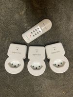 Lot de 3 prises télécommandées Daymond + télécommande 