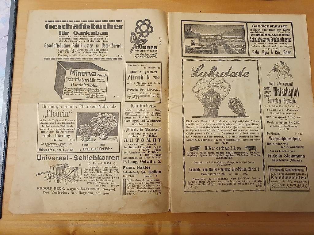Riviste & Magazine: Zeitschrift Der Schweizer Pflanzen-Freund 1927 – Usato da Maschwanden venduto da ruth07 3