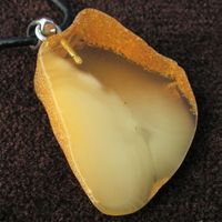 ♥ RAR: Baltischer Bernstein / ANHÄNGER / BUTTERSCOTCH ♥