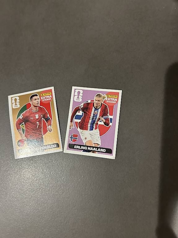 Panini Cartes à collectionner: Panini Doppelt – D'occasion à Zürich par Yvo619